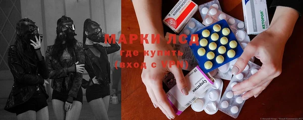 молекула духа Богданович