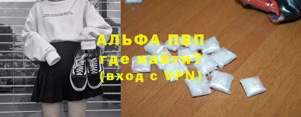 ECSTASY Богородск