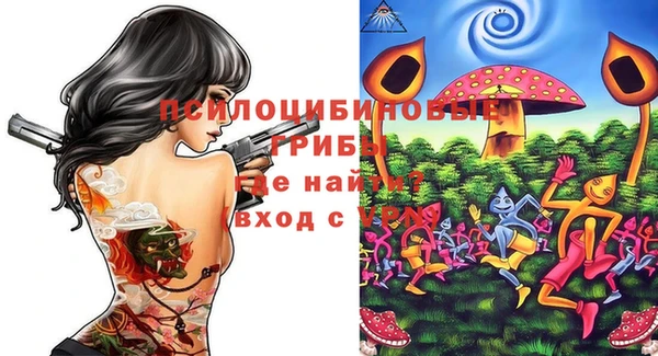 ECSTASY Богородск