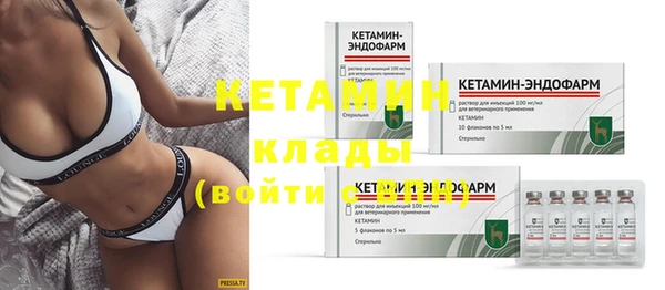 spice Богородицк