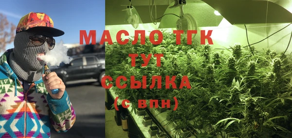 молекула духа Богданович