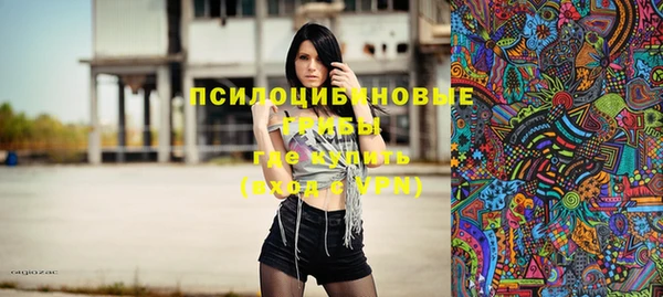 spice Богородицк
