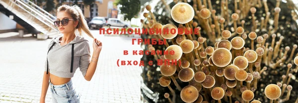 гидропоника Белокуриха