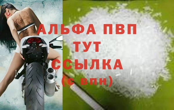 ECSTASY Богородск