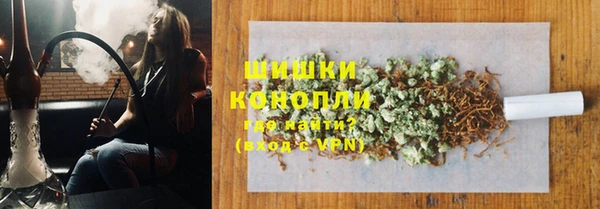 молекула духа Богданович
