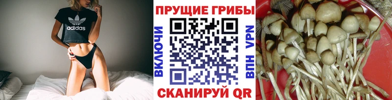 Галлюциногенные грибы Magic Shrooms  Магас 